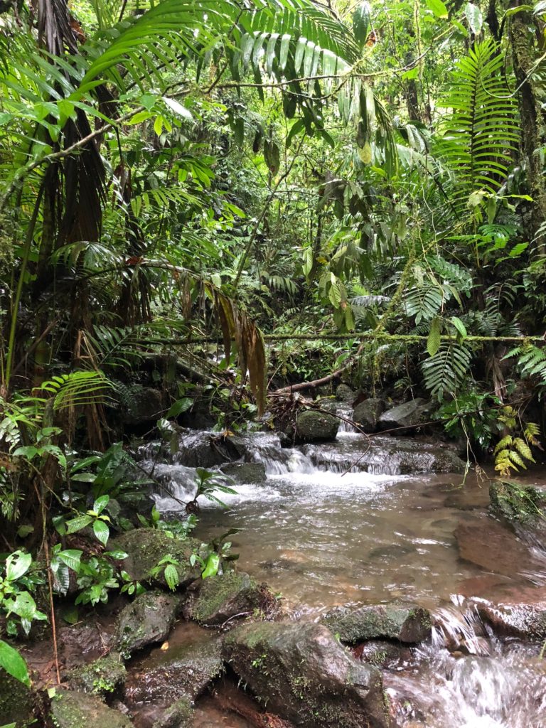 la fortuna costa rica